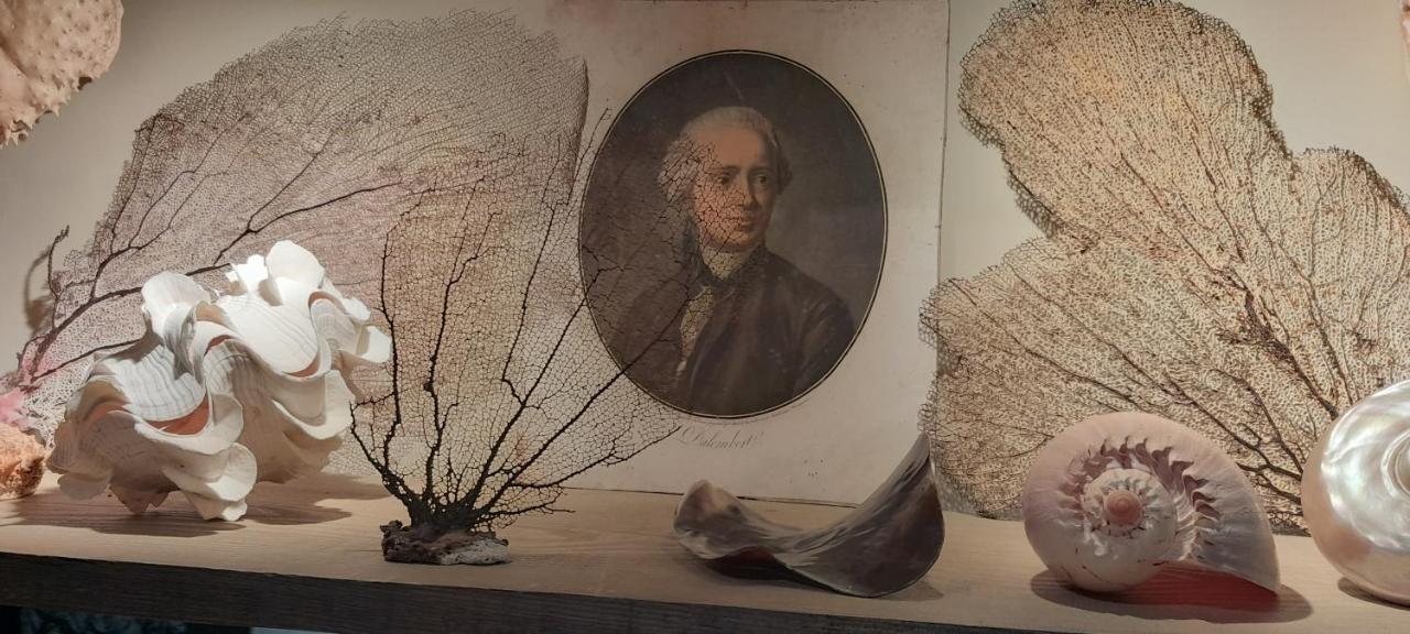 La Chanoinesse Salles-Arbuissonnas-en-Beaujolais Exteriör bild